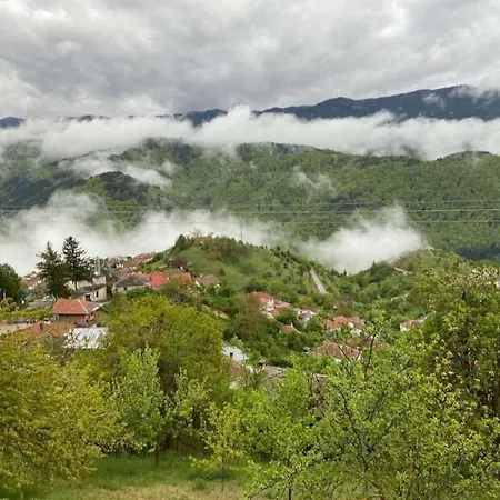 Дом отдыха Boutique House