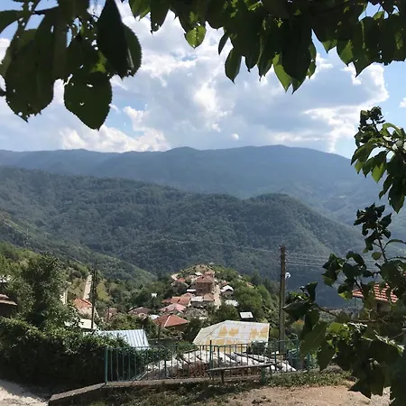 Сasa de vacaciones Boutique House
