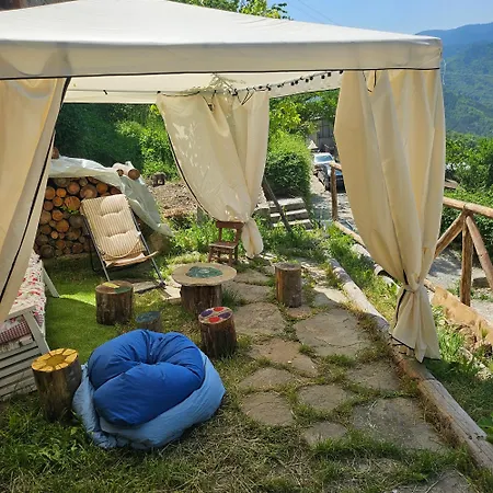 Boutique House