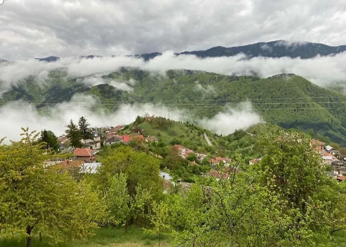 Dom wakacyjny Boutique House