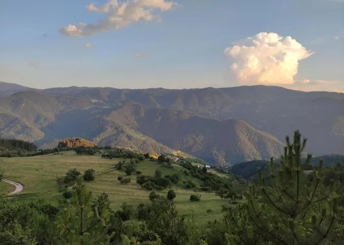 Boutique House Дом отдыха Девин