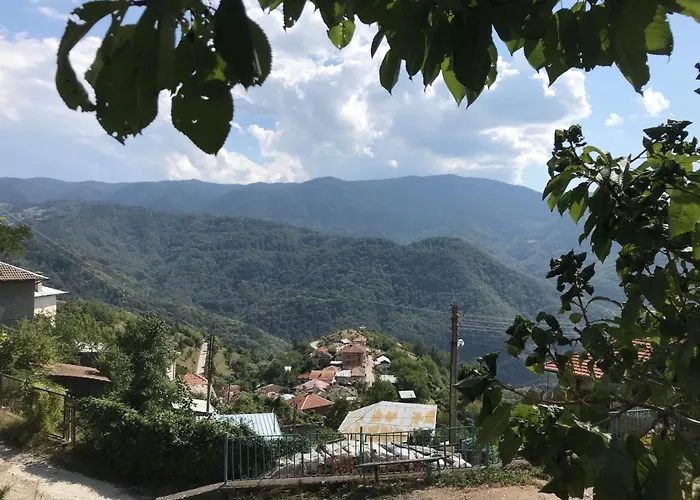 Dom wakacyjny Boutique House