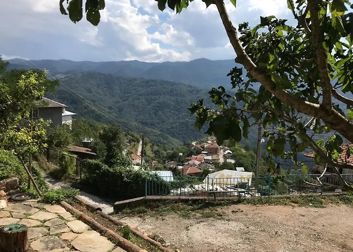 Boutique House Дом отдыха Девин