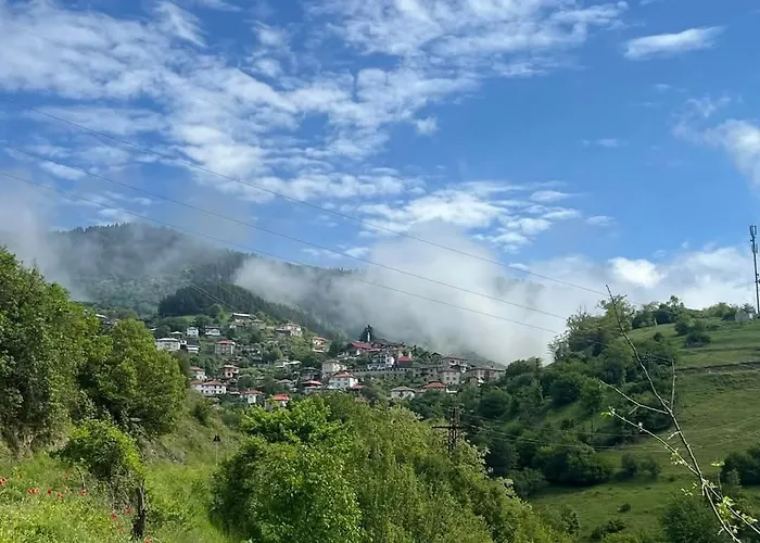 Дом отдыха Boutique House *