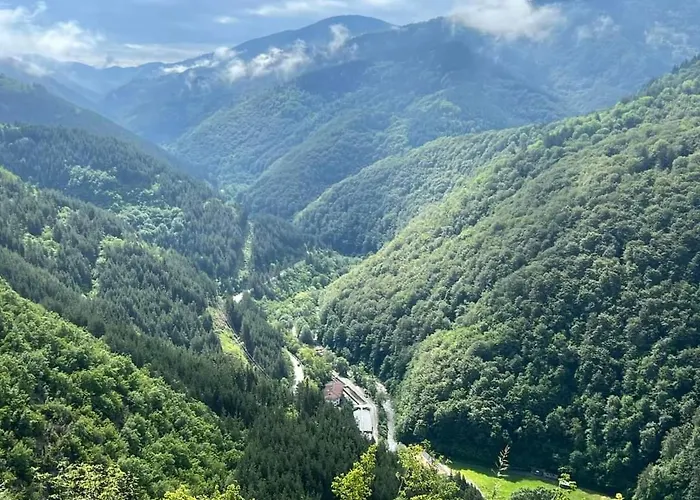 Boutique House Dom wakacyjny